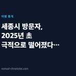 세종시 방문자, 2025년 초 극적으로 떨어졌다가 왜 자꾸 올라갈까