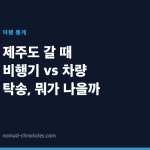 제주도 갈 때 비행기 vs 차량 탁송, 뭐가 나을까